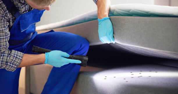 Best Affordable Pest Control Services  in Stacy, MN